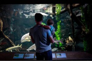 adult and child looking into fish tank
