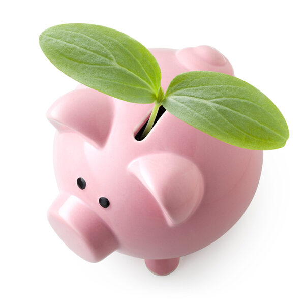 piggy bank with plant